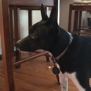 Meet your Posher, Sharon